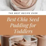 Delicious Chia Seed Pudding served in a small bowl for babies