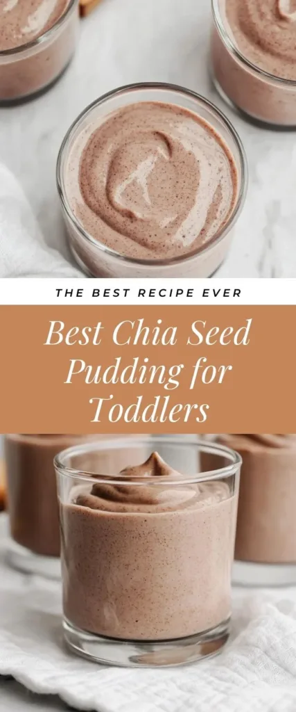 Chia Seed Pudding for Babies Delicious Chia Seed Pudding served in a small bowl for babies