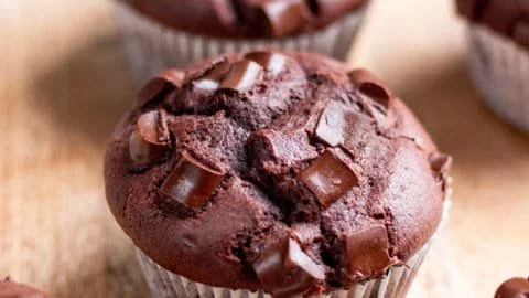Deliciously moist chocolate muffins made with oil and cocoa