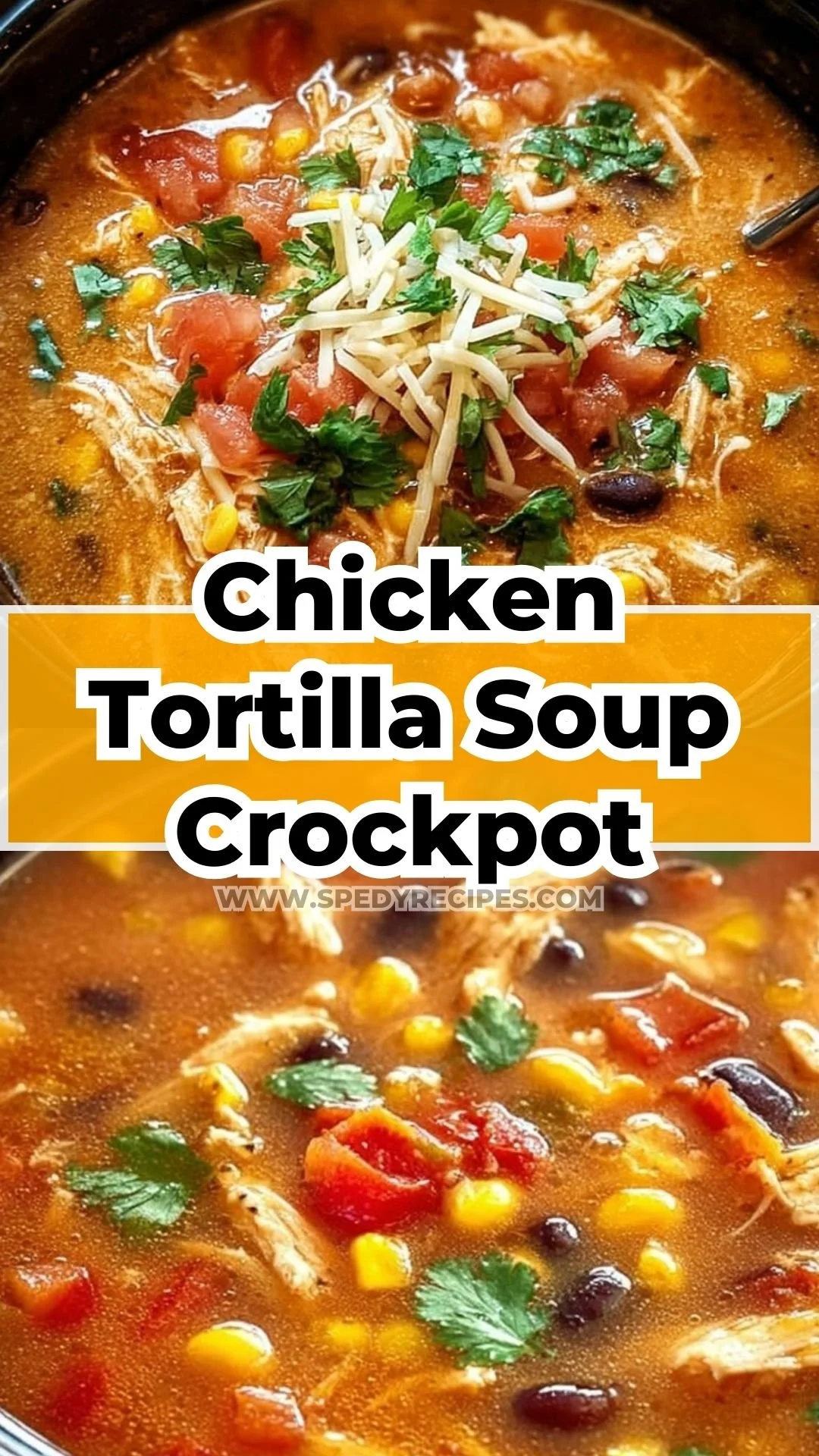 Crockpot Chicken Tortilla Soup