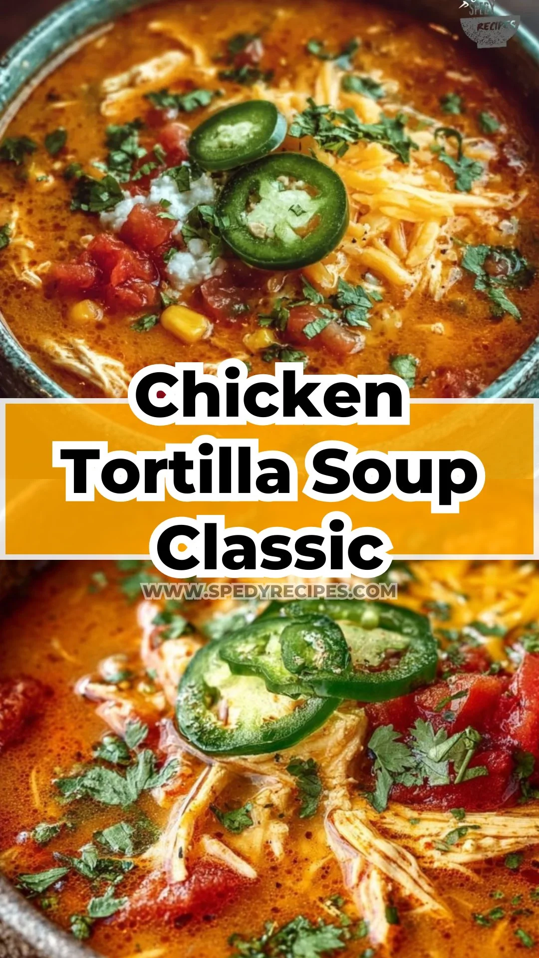 Chicken Tortilla Soup