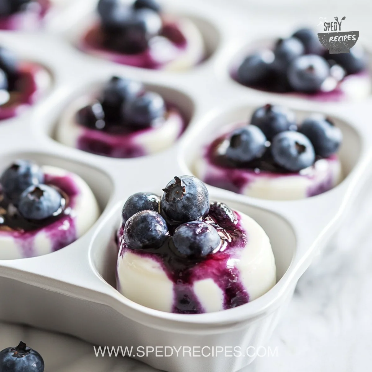 Blueberry Greek Yogurt Bites | Healthy Morning Bites Snack