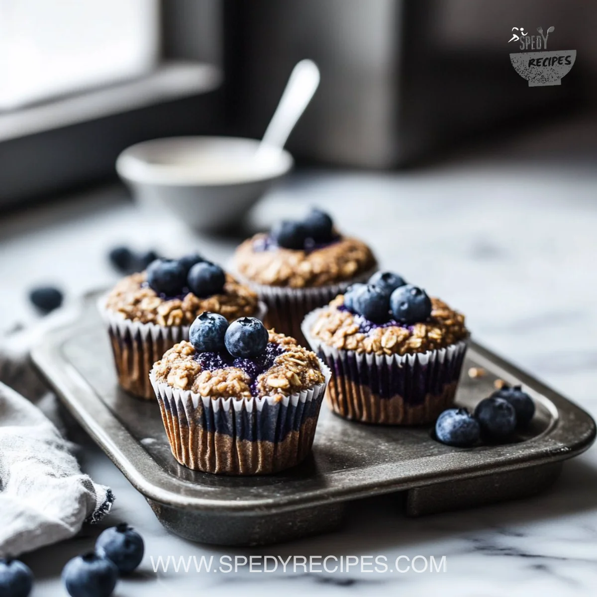Hearty Blueberry Protein Muffins